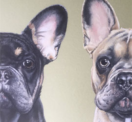 Dog Friendly Self Catering Cottages In The Cotswolds