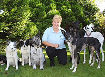 Dog Training Near Burford Dog Training Near Burford