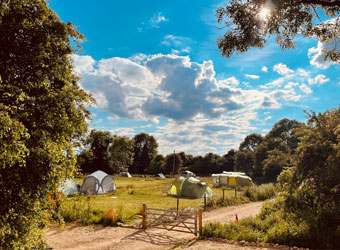 The Wildings Campsite