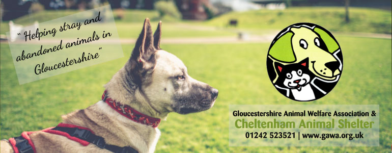 Cheltenham Animal Shelter