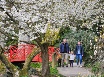 Batsford Arboretum