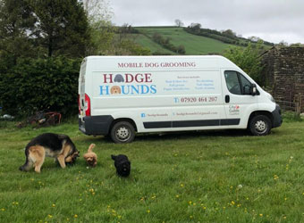 Hodge Hounds