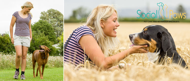 Social Paws Cheltenham